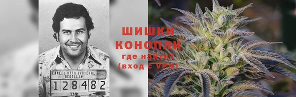 тгк Мегион