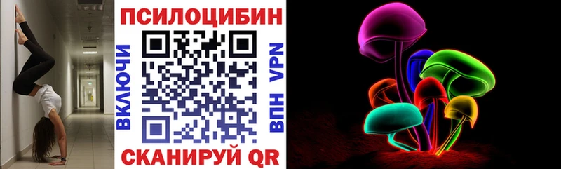 кракен как войти  Шилка  Галлюциногенные грибы GOLDEN TEACHER 